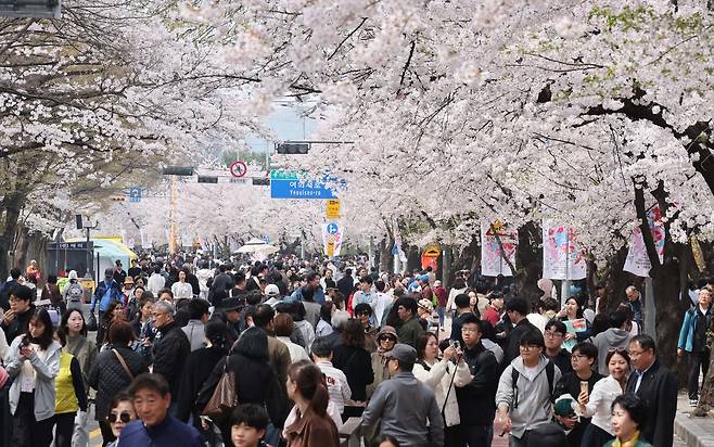 지난 5일 서울 여의도 봄꽃축제를 찾은 시민들이 윤중로에 만개한 벚꽃 등을 즐기고 있다. 성형주 기자