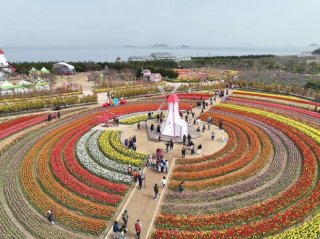 지난 10일 ‘섬 튤립축제’가 개막한 전남 신안군 임자도 대광해수욕장 일대 풍경. 사진 신안군