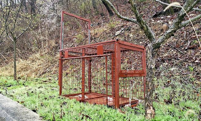 대전 중구 오월드에서 탈출한 늑대 ‘늑구’의 행방이 사흘째 묘연하다. 오월드 주변 야산에 늑대를 생포하기위해 포획틀이 설치돼 있다. 김성태 객원기자