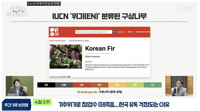 CBS 유튜브 경제연구실 캡처