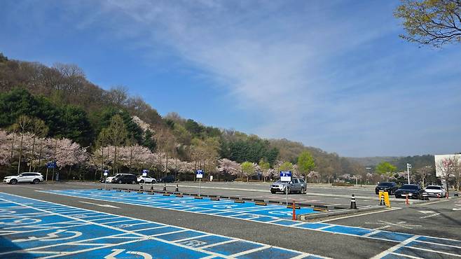 지난 8일 대전 오월드 동물원을 탈출한 늑구를 찾기 위한 수색 작업이 닷새 째 이어진 12일 오전 오월드 주차장이 텅 비어 있다. 시진호 기자