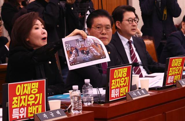 나경원 국민의힘 의원이 지난 7일 국회에서 열린 ‘윤석열 정권 정치검찰 조작기소 의혹사건 진상규명’ 국정조사특별위원회 전체회의에서 박선원 더불어민주당 의원과 설전을 주고 받고 있다. 뉴시스