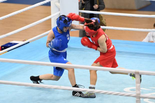 두 복싱 선수가 치열한 공방 속에서 수준 높은 경기를 펼치고 있다. 영주시 제공