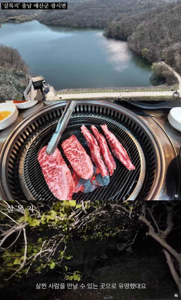 ⓒ예산군 공식 SNS