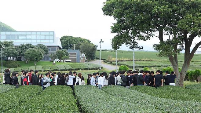 기사와 연관 없는 이미지 ⓒ 연합뉴스