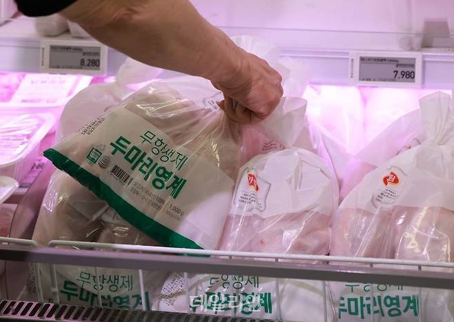 마트에 신선식품 코너에 진열된 닭고기. ⓒ뉴시스