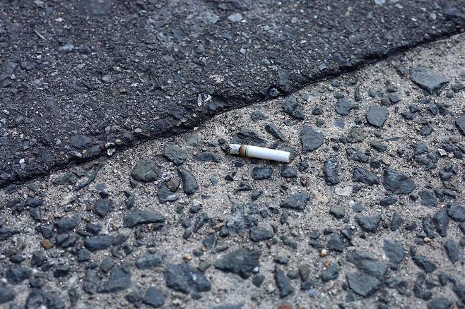 기사와 상관없는 이미지. 게티이미지뱅크