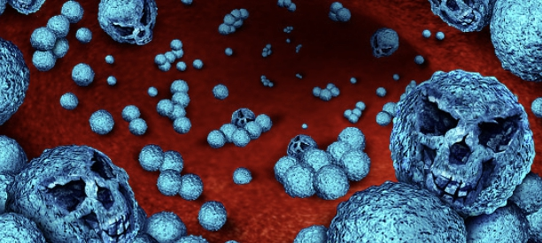 항생제가 작용하지 않아 내성을 보이는 다제내성균을 표현한 이미지. 게티이미지