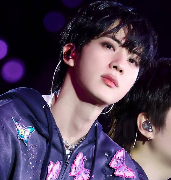 "아미 덕분에 행복했어요" 방탄소년단 진, 고양 콘서트 완벽 무대→뜨거운 팬사랑