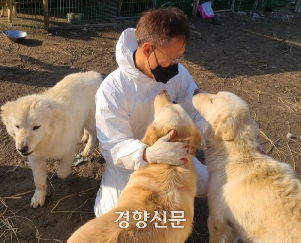 유기동물 보호소에 있는 유기견. 경향신문 자료사진