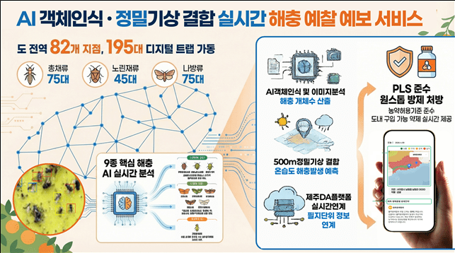 / 사진=제주도