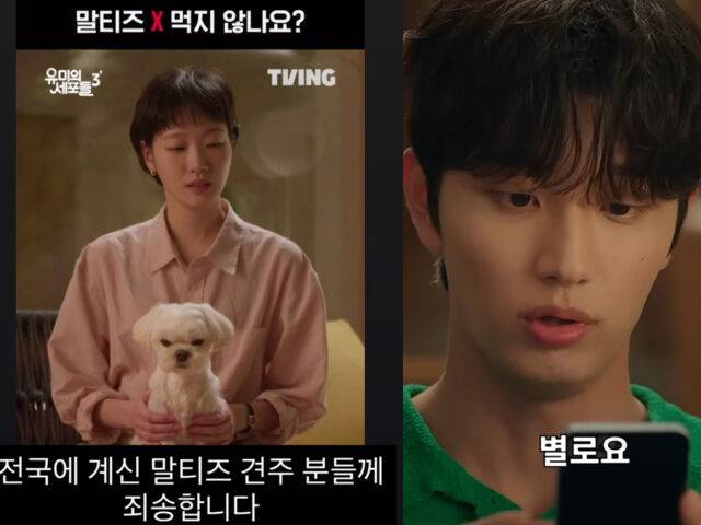 김재원이 전국에 있는 견주들에게 사과의 말을 남겼다. / (왼쪽) 김재원 소셜미디어, (오른쪽) tvN '유미의 세포들 3'