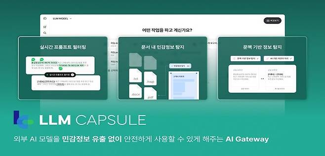 LLM Capsule