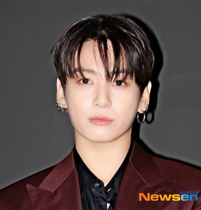 정국, 뉴스엔DB
