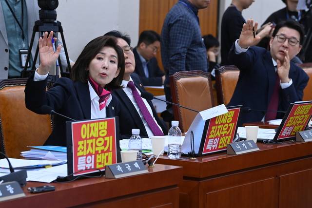 “발언 요청합니다” : 나경원(왼쪽) 국민의힘 의원이 28일 오전 국회에서 열린 ‘윤석열 정권 정치검찰 조작 기소 의혹 사건 진상규명 국정조사특별위원회’ 종합청문회에서 손을 들어 의사진행 발언을 요청하고 있다. 곽성호 기자