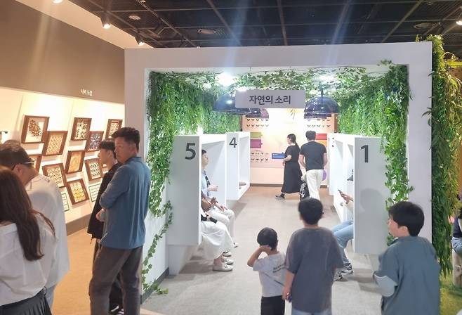 제28회 함평나비대축제가 열리는 엑스포공원 나비곤충생태관의 내부 모습. (제공=함평군)