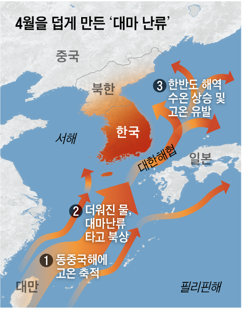 그래픽=백형선