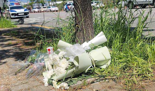 6일 광주광역시 월계동 대로변 가로수 아래에 시민들이 가져다 놓은 국화꽃이 놓여 있다. 전날 이곳에서 고교생 A양이 생면부지 남성이 휘두른 흉기에 숨졌다. /진창일 기자