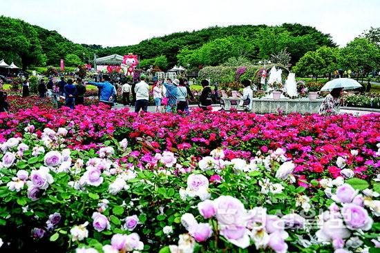 ▲ 계절의 여왕인 5월을 맞아 울산 곳곳에서 다양한 축제가 풍성하게 펼쳐진다.(울산대공원 장비축제 / 경상일보 자료사진)