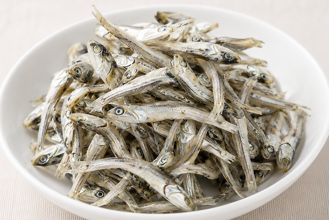멸치