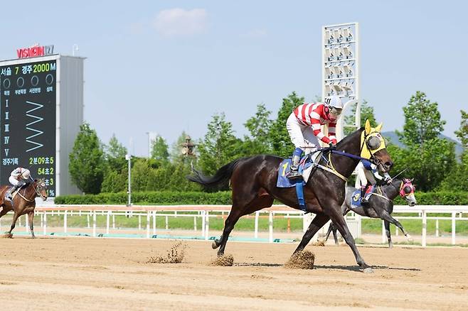 용암세상. 사진 | 한국마사회