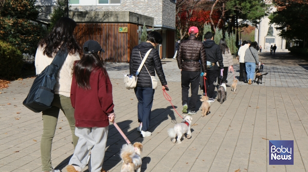 집합 행정교정 교육. ⓒ강서구