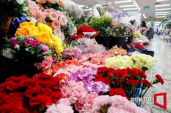 불황에 꽃값과 포장 자잿값이 동시에 오르면서 5월 화훼업계의 대표 대목으로 꼽히던 '카네이션 특수'가 사라지고 있다. 강진형 기자