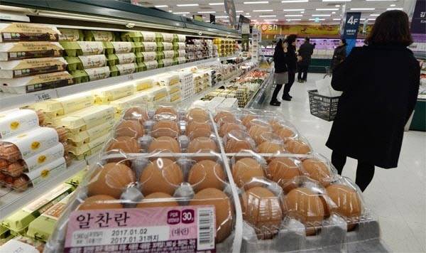 마트 매장에 진열된 계란. 사진은 기사 내용과 직접적인 관련이 없음. 연합뉴스