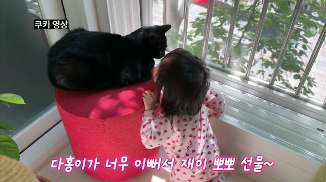 사진=박수홍 유튜브