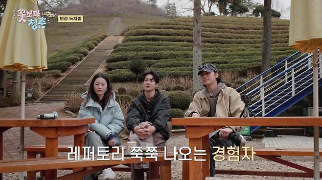 ‘꽃보다 청춘 리미티드’