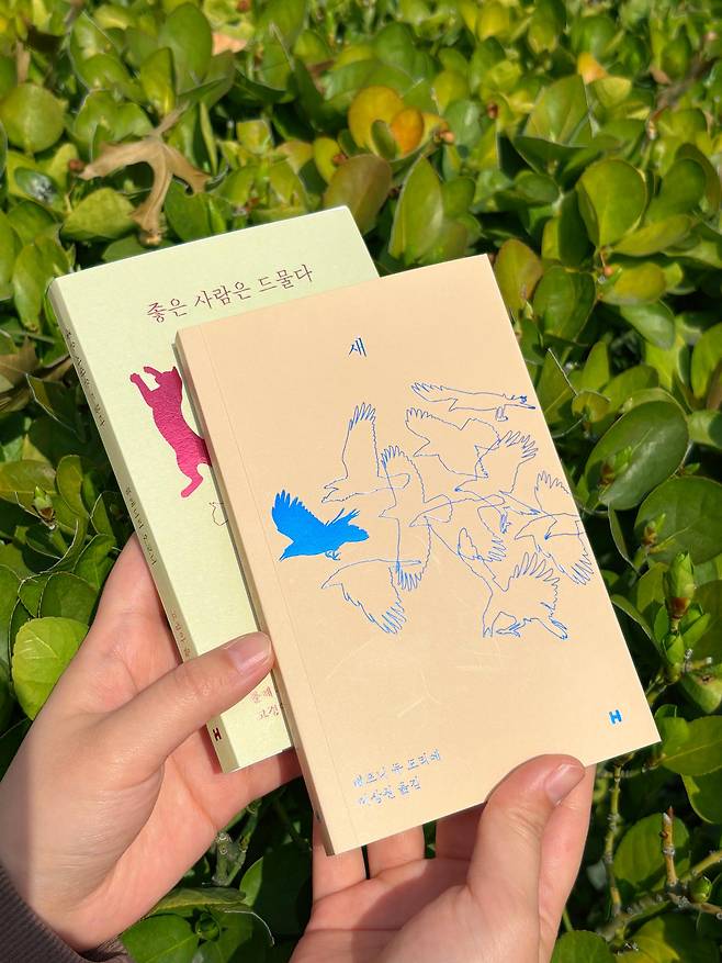 현대문학의 '세계문학 단편선'의 미니미 시리즈로 올해 처음 선보인 대프니 듀 모리에의 '새'와 플래너리 오코너의 '좋은 사람은 드물다'. 현대문학 제공