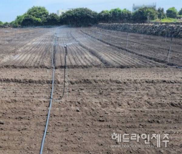정부의 농지 전수조사 계획 발표 이후 제주지역에서 임대차 계약 해지나 농지 반환 요구 사례가 잇따르는 것으로 나타났다. 사진은 기사의 특정사실과 관련없음. ⓒ헤드라인제주