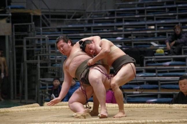 62.5kg 우루토라(오른쪽)160kg 거구 다케다를 쓰러뜨리고 있다. /사진=스모 교카이 갈무리
