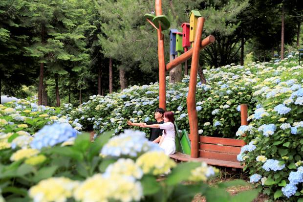 윤제림으로 잘 알려진 숲정원의 매력을 품은 '성림정원'. 보성군 제공