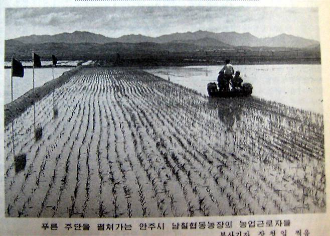 노동신문 1997년 5월 11일자