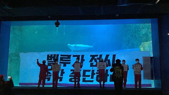 2022년 12월16일 핫핑크돌핀스 활동가들이 서울 롯데월드 아쿠아리움에서 벨루가 방류를 촉구하는 시위를 하고 있다. 핫핑크돌핀스 제공