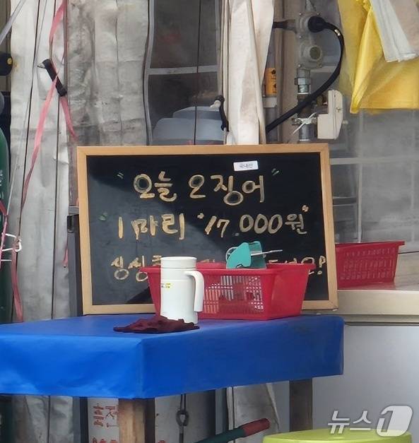 부처님오신날 연휴 첫날이었던 지난 23일 강원 속초지역 대표 먹거리촌인 동명동 오징어난전의 한 점포에 입구에 이날 오징어 1마리 가격을 알리는 문구가 적혀있다. 2026.5.23/뉴스1 윤왕근 기자