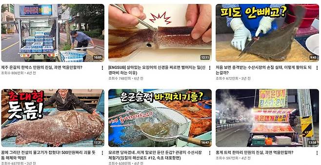‘입질의추억TV’의 인기 콘텐츠 섬네일들. 유튜브 캡처