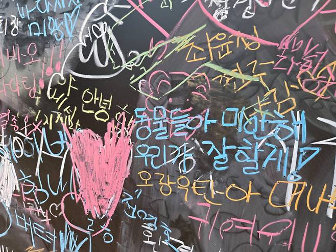 넷플릭스 '에듀테인먼트 존'에 적힌 응원 메시지. "동물들아 미안해 우리가 잘할게!"라는 문구가 눈에 띈다.