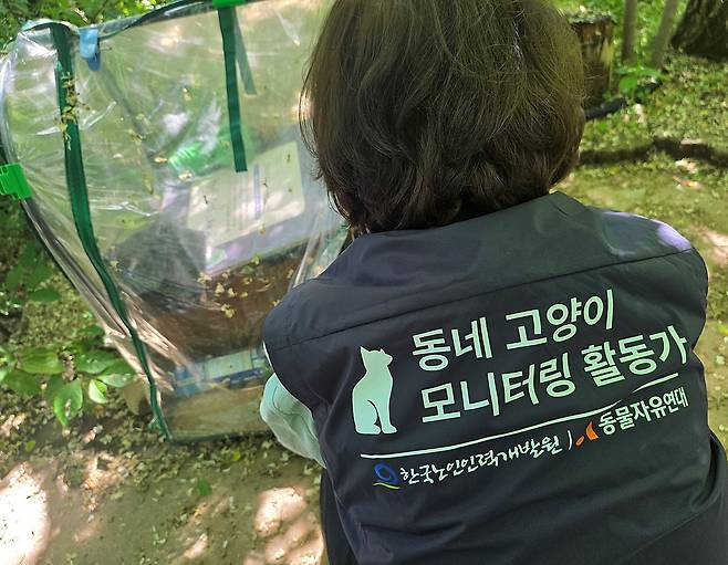 '동네 고양이 모니터링 활동가' 김광선씨가 구청이 설치한 길고양이 급식소를 살펴보고 있다. 인천=채혜선 기자