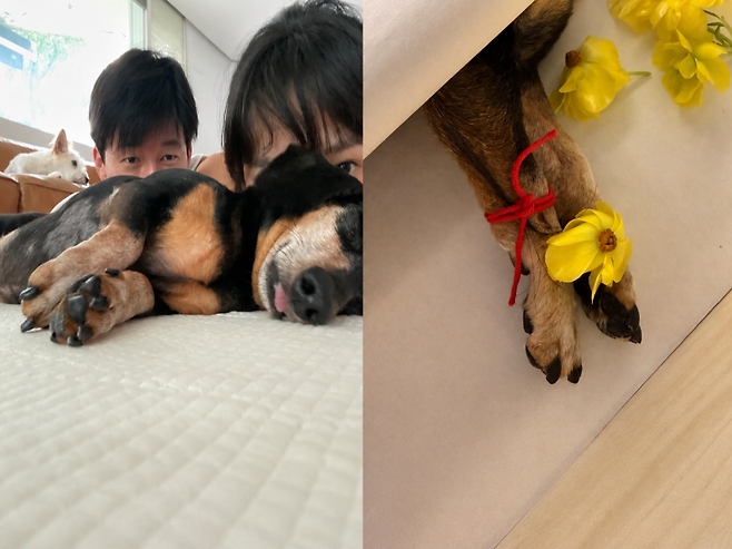사진=윤승아 SNS