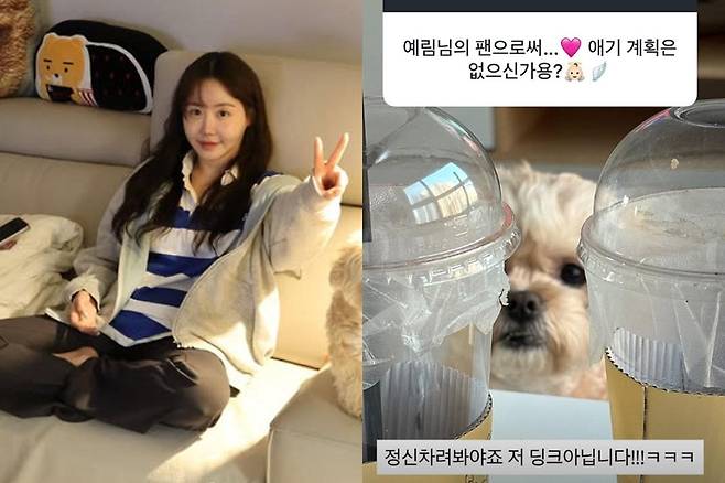 출처:이예림