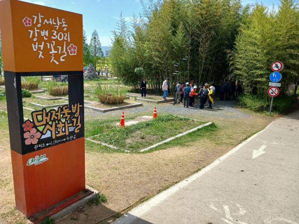 부산 강서구 ‘강서낙동강변30리벚꽃길’에서 시민이 산책과 휴식을 즐기고 있다.