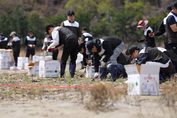 BNK경남은행 임직원들이 지난 4월 4일 '봉암갯벌 칠면초 군락지 복원 봉사활동'을 실시했다. / BNK경남은행