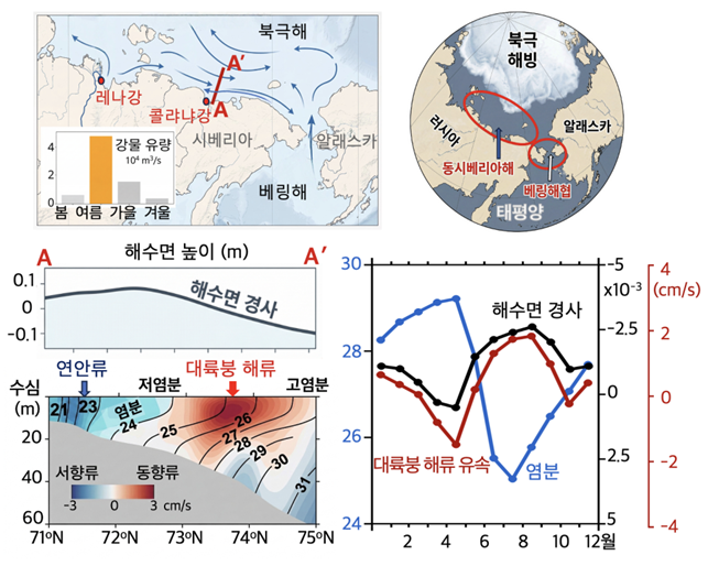 극지연구소가 북극 동시베리아해 해류의 계절별 흐름 변화를 분석해 해류 변동을 좌우하는 주요 원인을 규명했다. 이번 연구는 여름철 담수 유입에 따른 염분 변화가 해류 흐름에 미치는 영향을 밝혀낸 것으로 북극해 환경 변화와 미래 기후 예측에 중요한 과학적 근거를 제시했다는 점에서 의미가 있다는 평가다.(극지연구소)