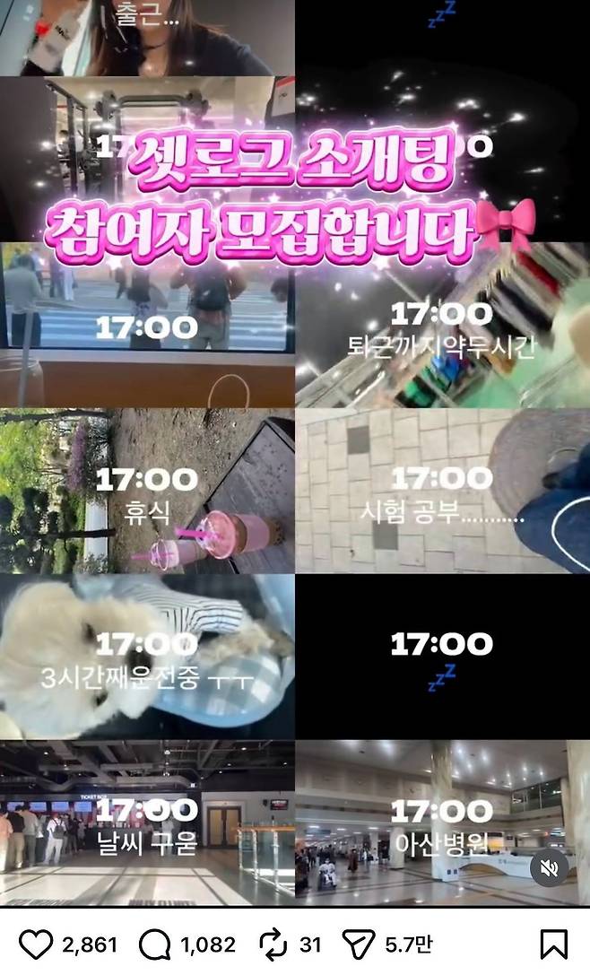 셋로그 소개팅 모집 참여자 게시물. 사진 인스타그램 캡처