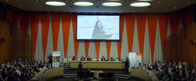 유엔 경제사회이사회(ECOSOC) 홈페이지 캡처