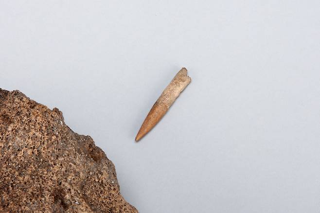 작살촉의 모습. 울산광역시 제공