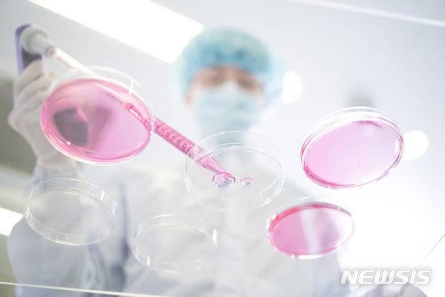 사진 제공=뉴시스