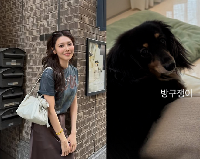 사진=수영, 정경호 SNS